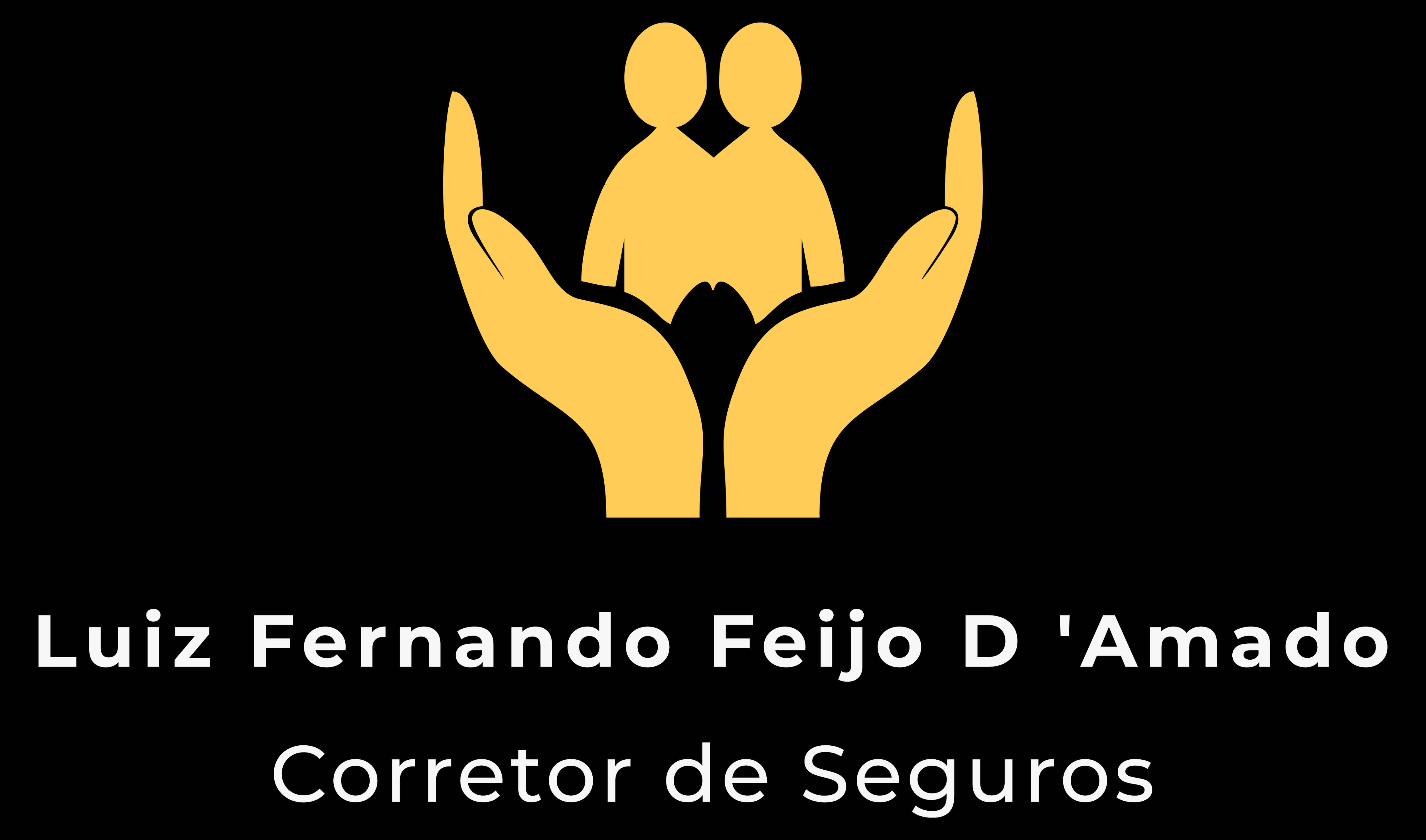 Luiz Fernando F D Amado - Corretor de Seguros